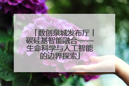 数创泉城发布厅丨碳硅基智能融合——生命科学与人工智能的边界探索